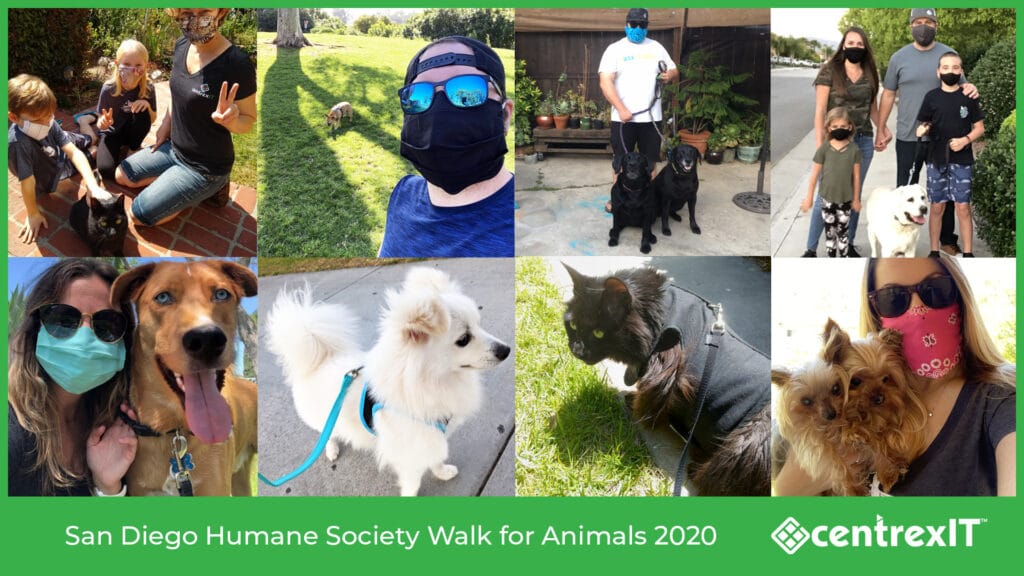 San Diego Humane Society Walk for Animals